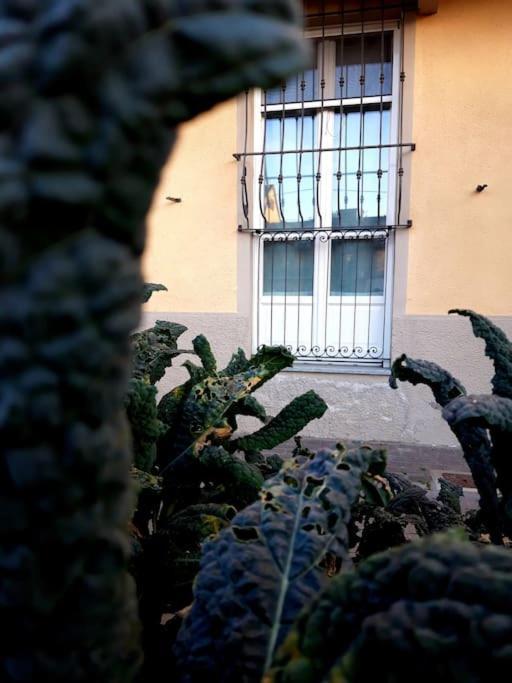 Apartamento Casasassi Turín Exterior foto